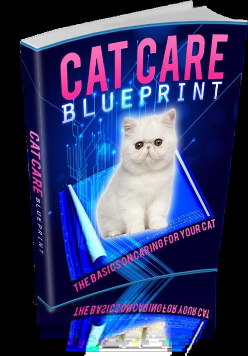 Product picture Cat Care Blueprint.